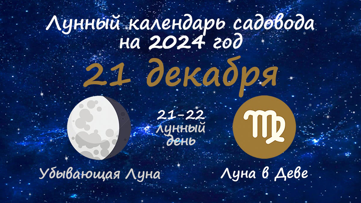 Лунный календарь садовода-огородника на 21 декабря 2024 года