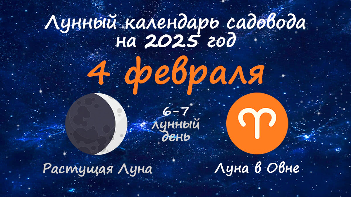 Лунный календарь садовода-огородника на 4 февраля 2025 года