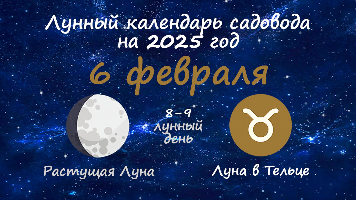 Лунный календарь садовода-огородника на 6 февраля 2025 года