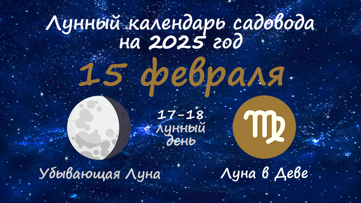 Лунный календарь садовода-огородника на 15 февраля 2025 года