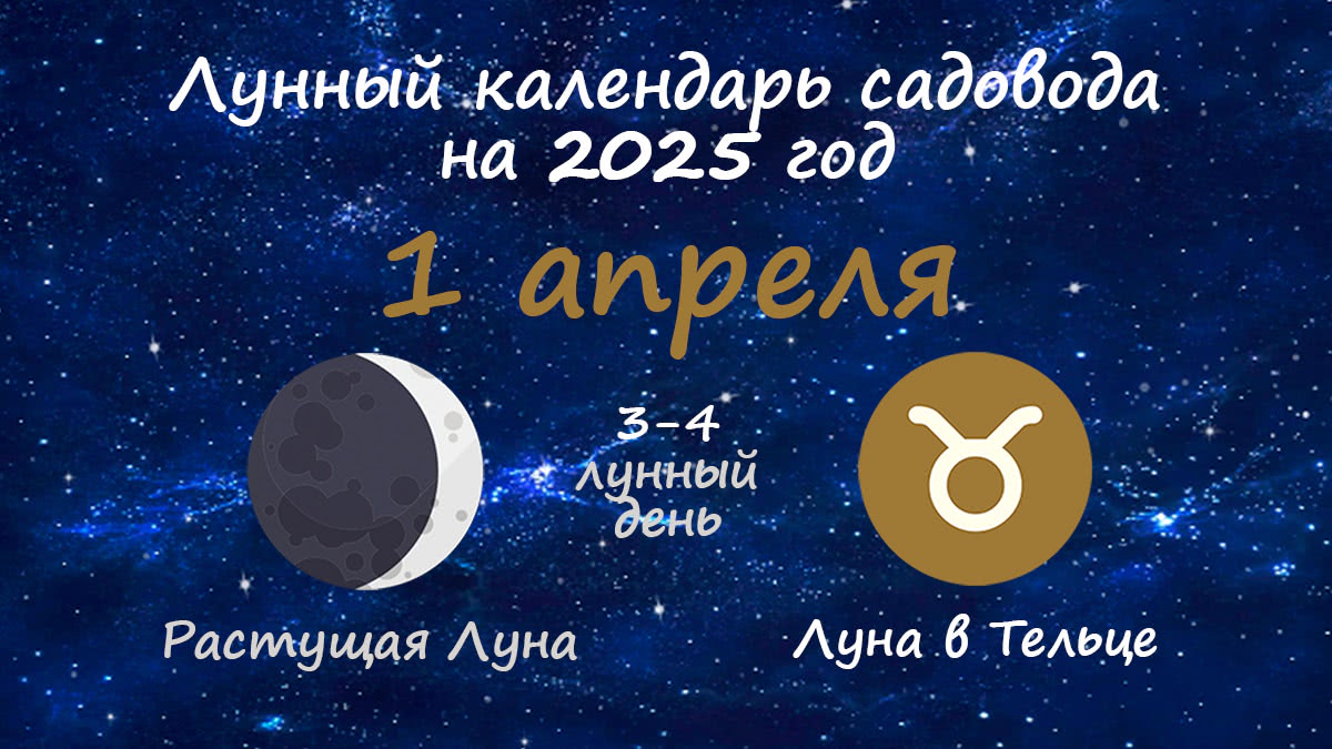 Лунный календарь садовода-огородника на 1 апреля 2025 года