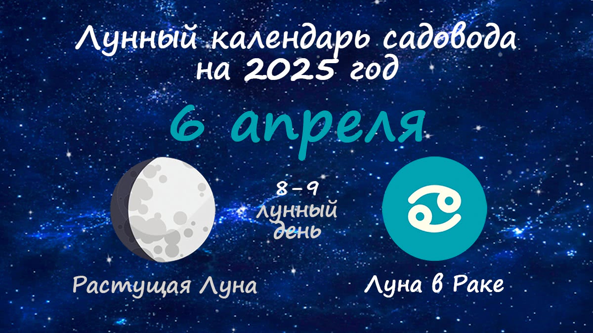 Лунный календарь садовода-огородника на 6 апреля 2025 года