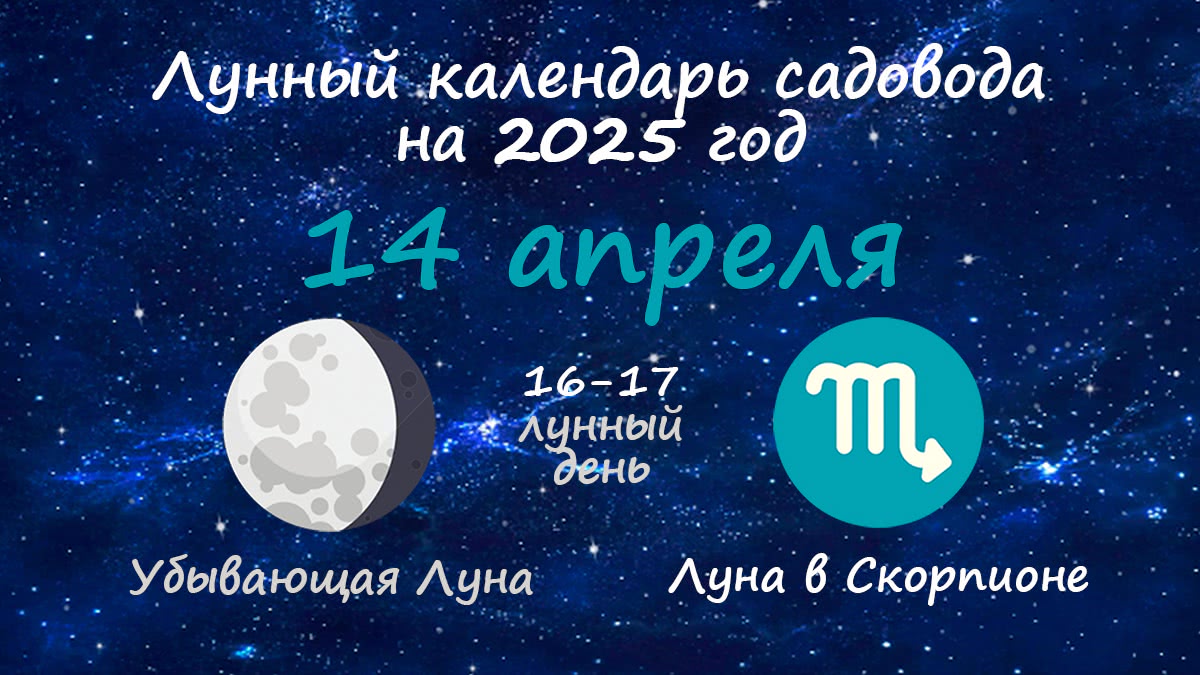 Лунный календарь садовода-огородника на 14 апреля 2025 года