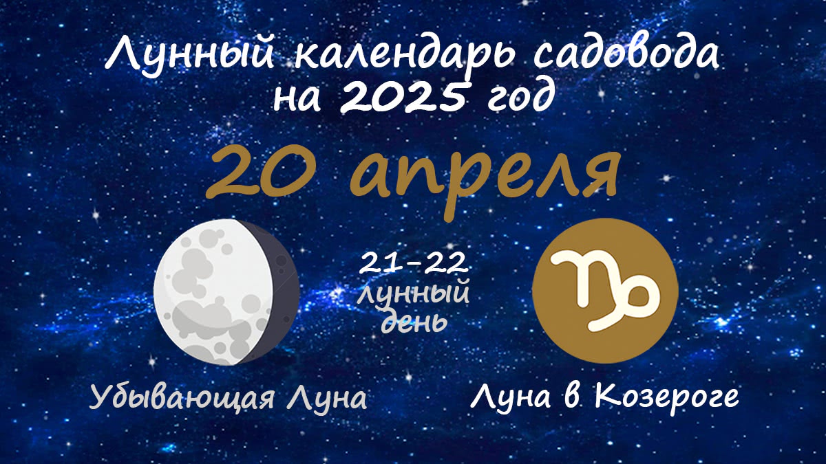 Лунный календарь садовода-огородника на 20 апреля 2025 года