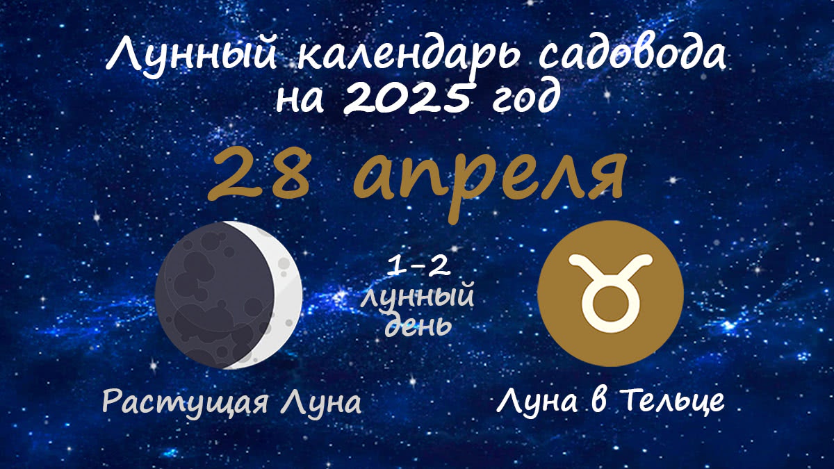 Лунный календарь садовода-огородника на 28 апреля 2025 года