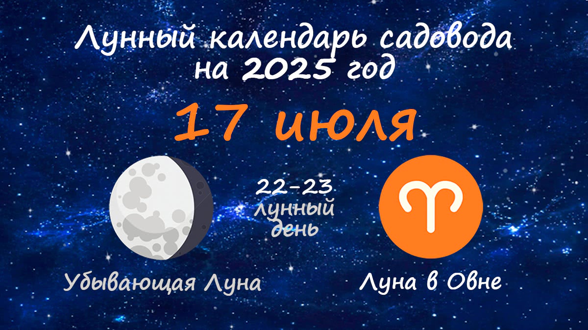 Лунный календарь садовода-огородника на 17 июля 2025 года