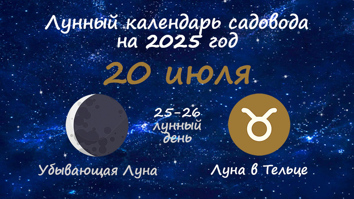 Лунный календарь садовода-огородника на 20 июля 2025 года