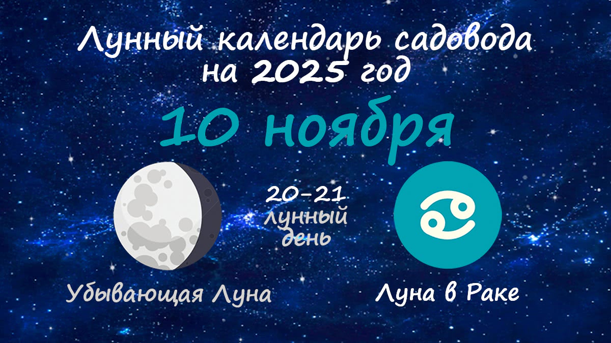 Лунный календарь садовода-огородника на 10 ноября 2025 года