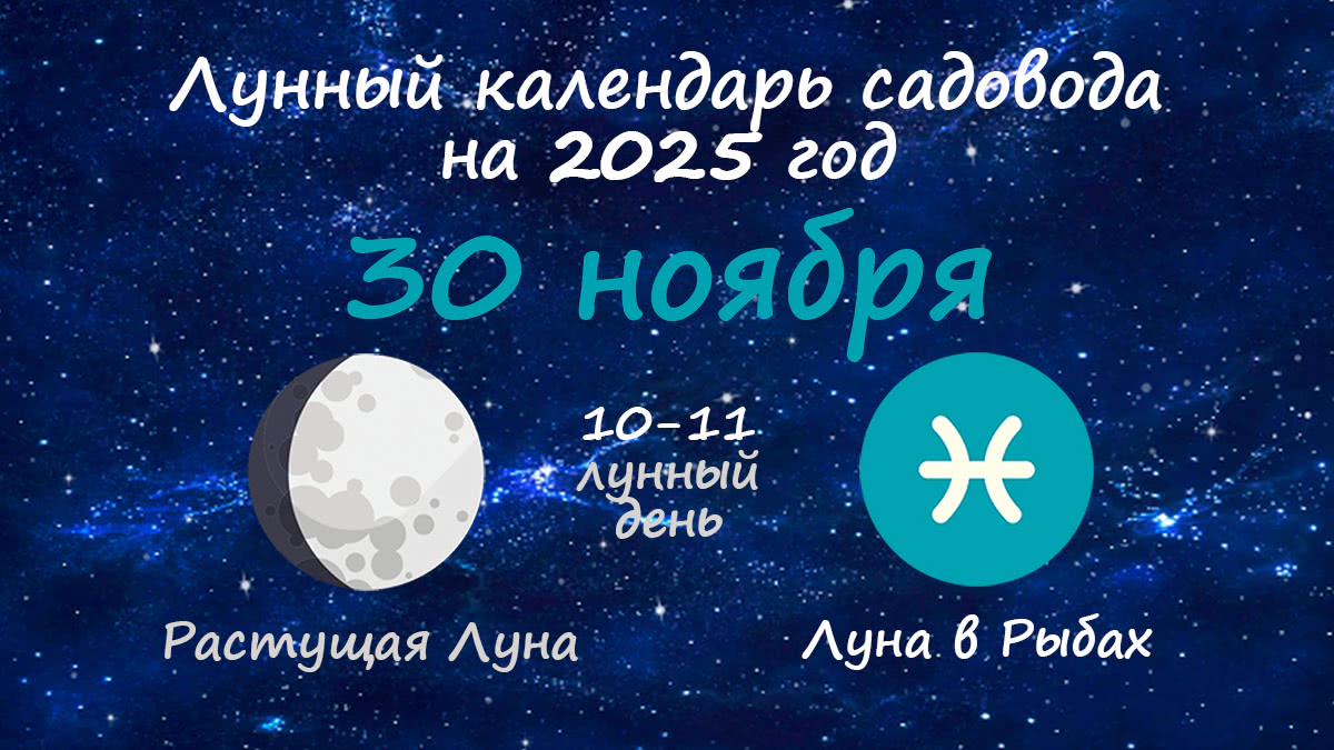 Лунный календарь садовода-огородника на 30 ноября 2025 года