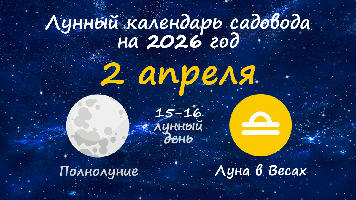 Лунный календарь садовода-огородника на 2 апреля 2026 года