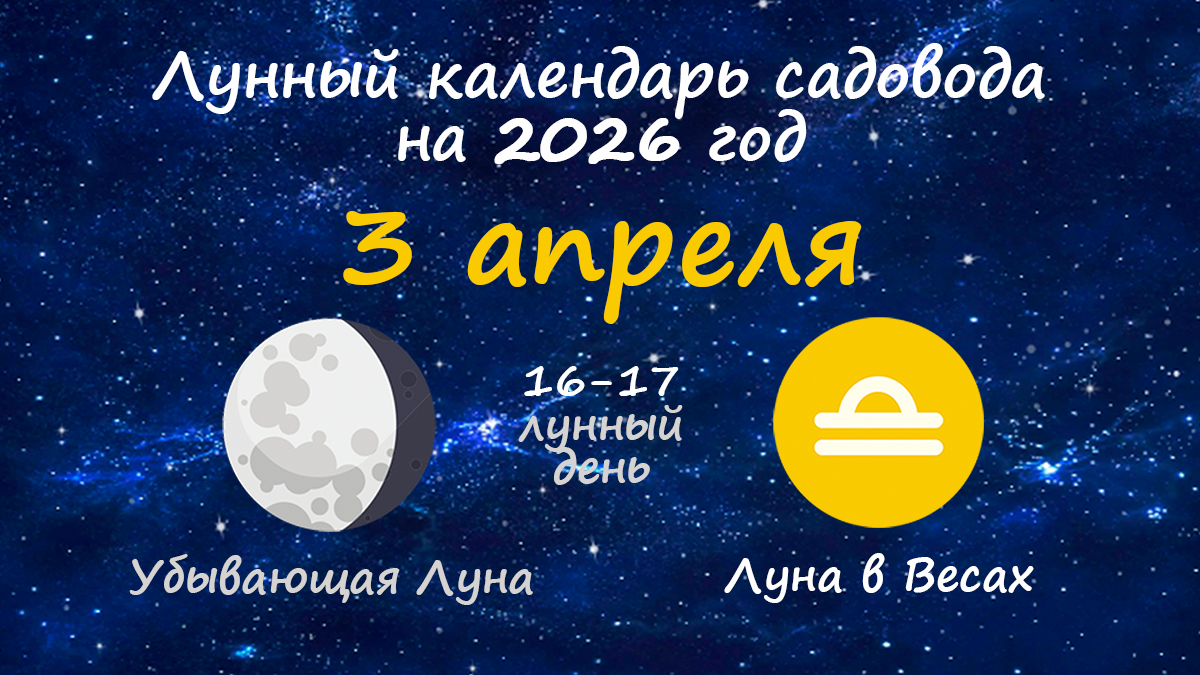 Лунный календарь садовода-огородника на 3 апреля 2026 года