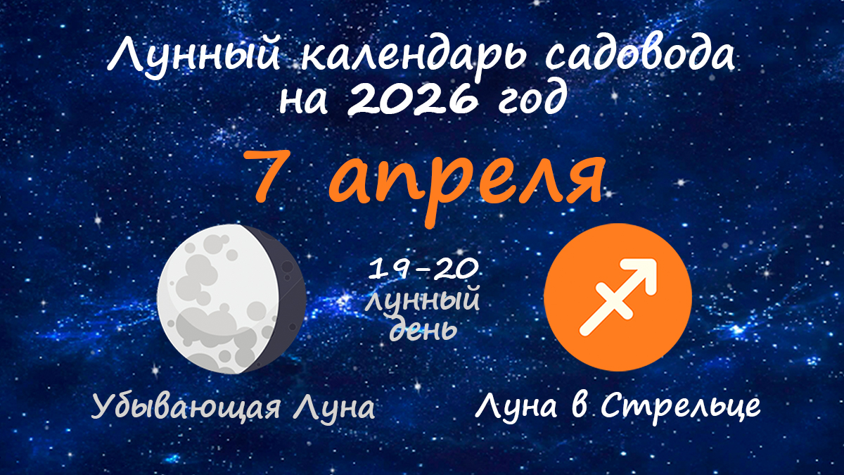 Лунный календарь садовода-огородника на 7 апреля 2026 года