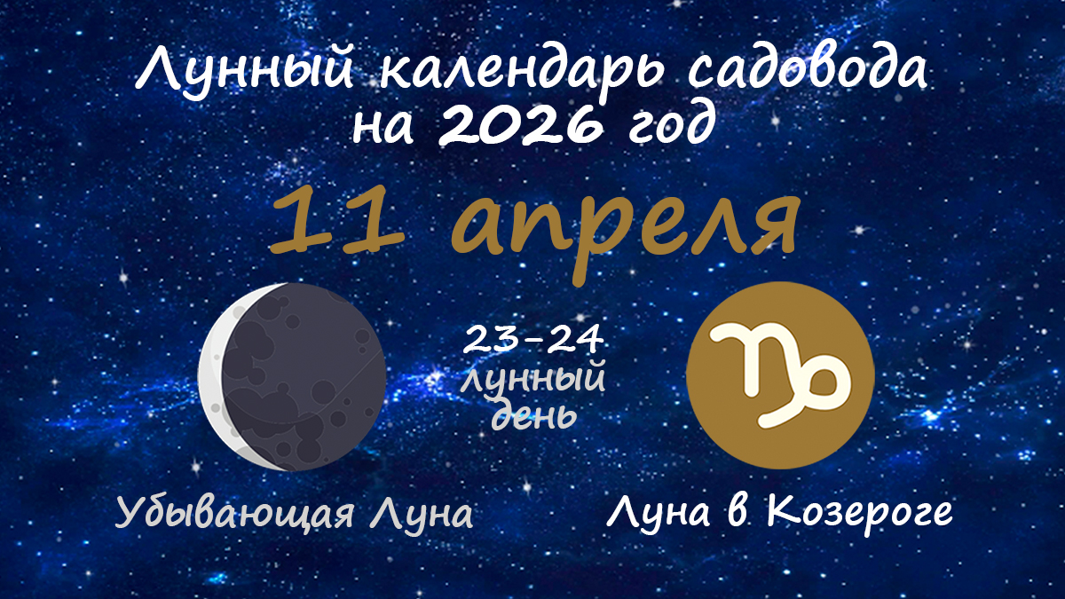 Лунный календарь садовода-огородника на 11 апреля 2026 года