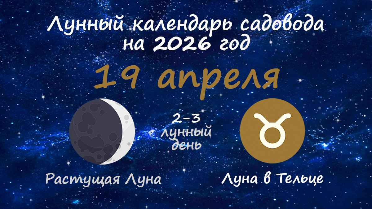 Лунный календарь садовода-огородника на 19 апреля 2026 года