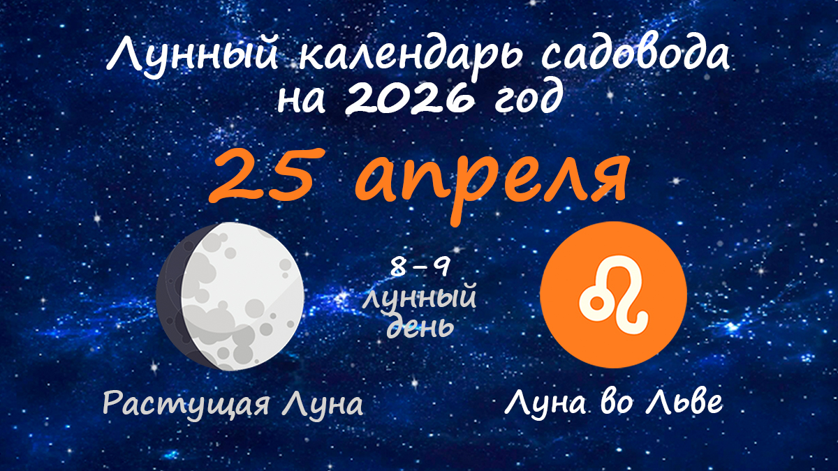 Лунный календарь садовода-огородника на 25 апреля 2026 года