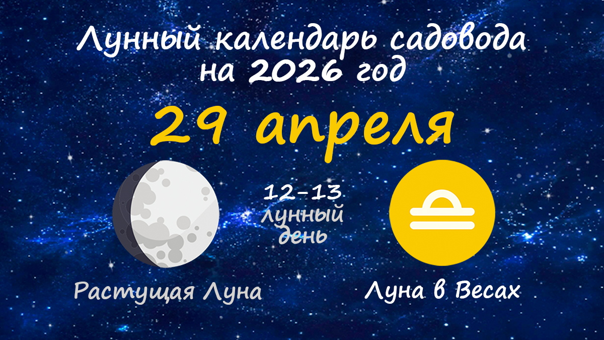 Лунный календарь садовода-огородника на 29 апреля 2026 года