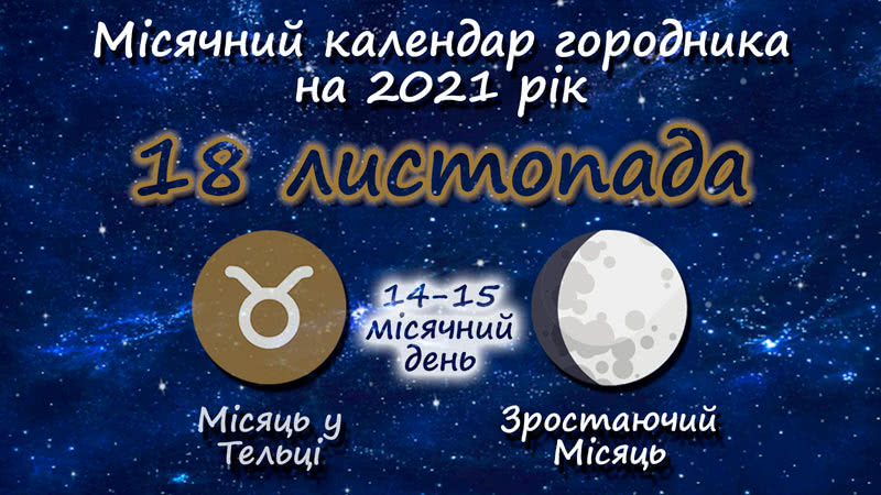 Місячний календар садівника-городника на 18 листопада 2021 року