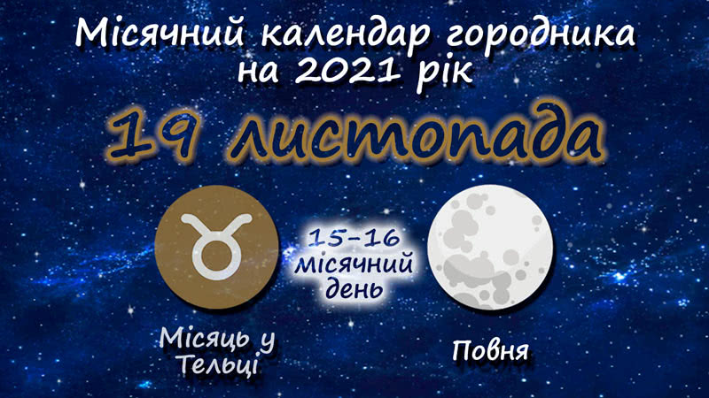 Місячний календар садівника-городника на 19 листопада 2021 року