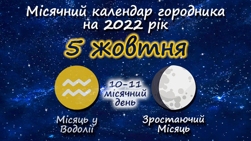 Місячний календар садівника-городника на 5 жовтня 2022 року