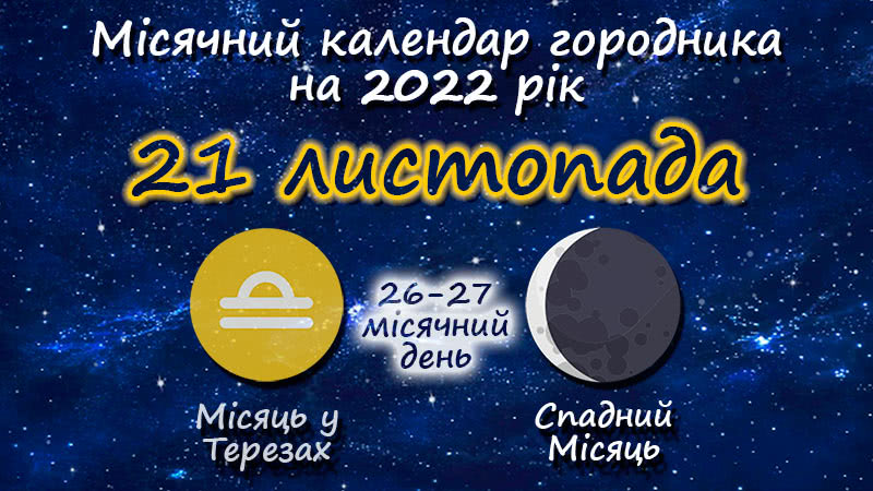 Місячний календар садівника-городника на 21 листопада 2022 року