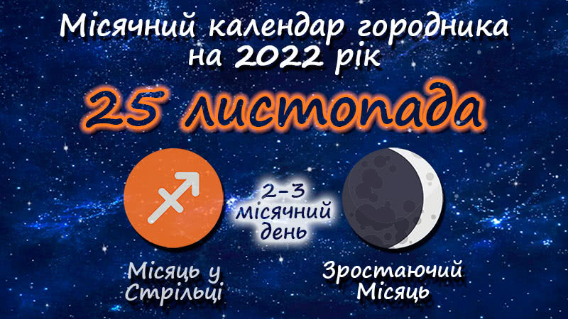 Місячний календар садівника-городника на 25 листопада 2022 року