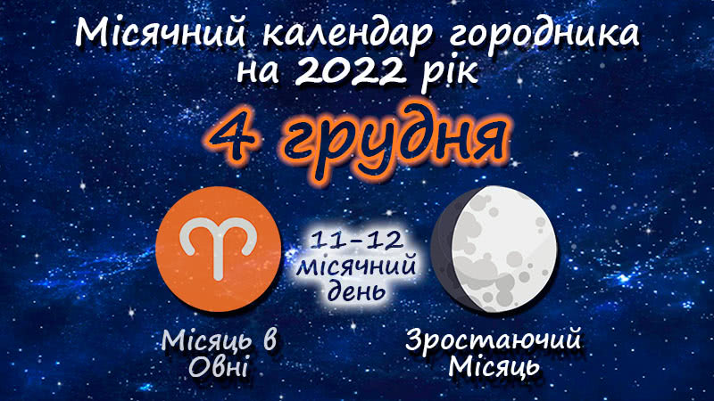 Місячний календар садівника-городника на 4 грудня 2022 року