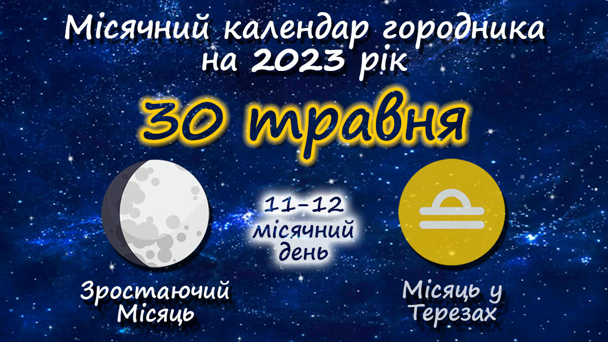 Місячний календар садівника-городника на 30 травня 2023 року