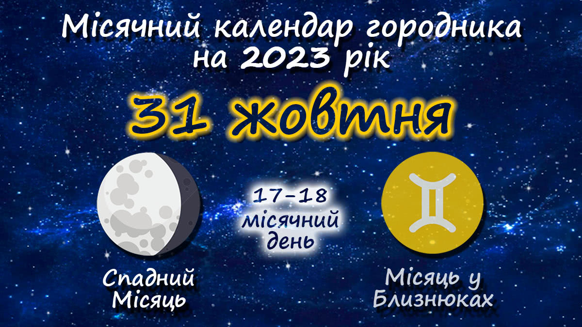 Місячний календар садівника-городника на 31 жовтня 2023 року