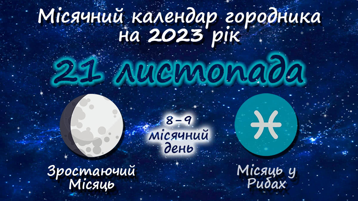 Місячний календар садівника-городника на 21 листопада 2023 року