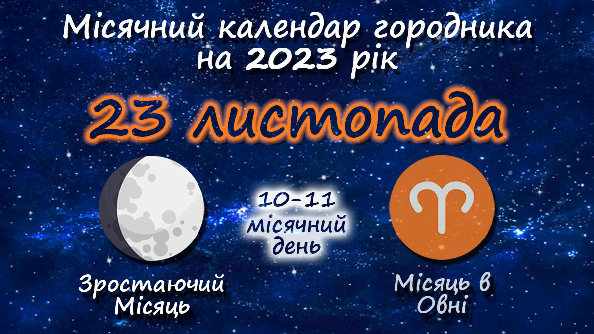 Місячний календар садівника-городника на 23 листопада 2023 року