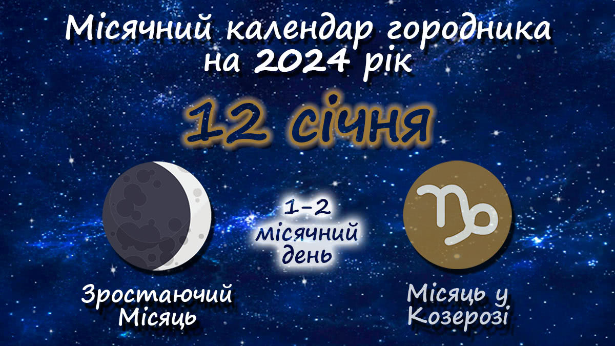 Місячний календар садівника-городника на 12 січня 2024 року