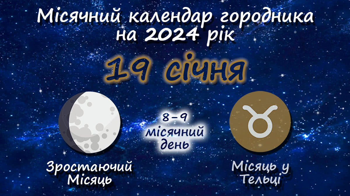 Місячний календар садівника-городника на 19 січня 2024 року