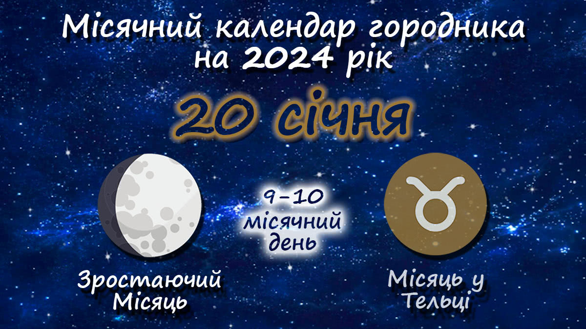Місячний календар садівника-городника на 20 січня 2024 року
