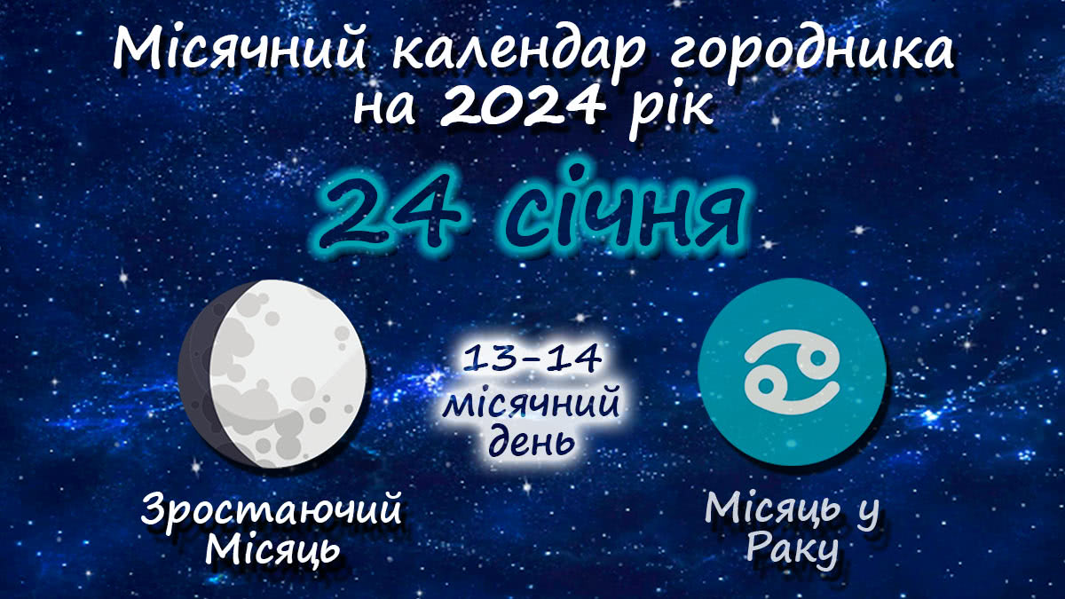 Місячний календар садівника-городника на 24 січня 2024 року