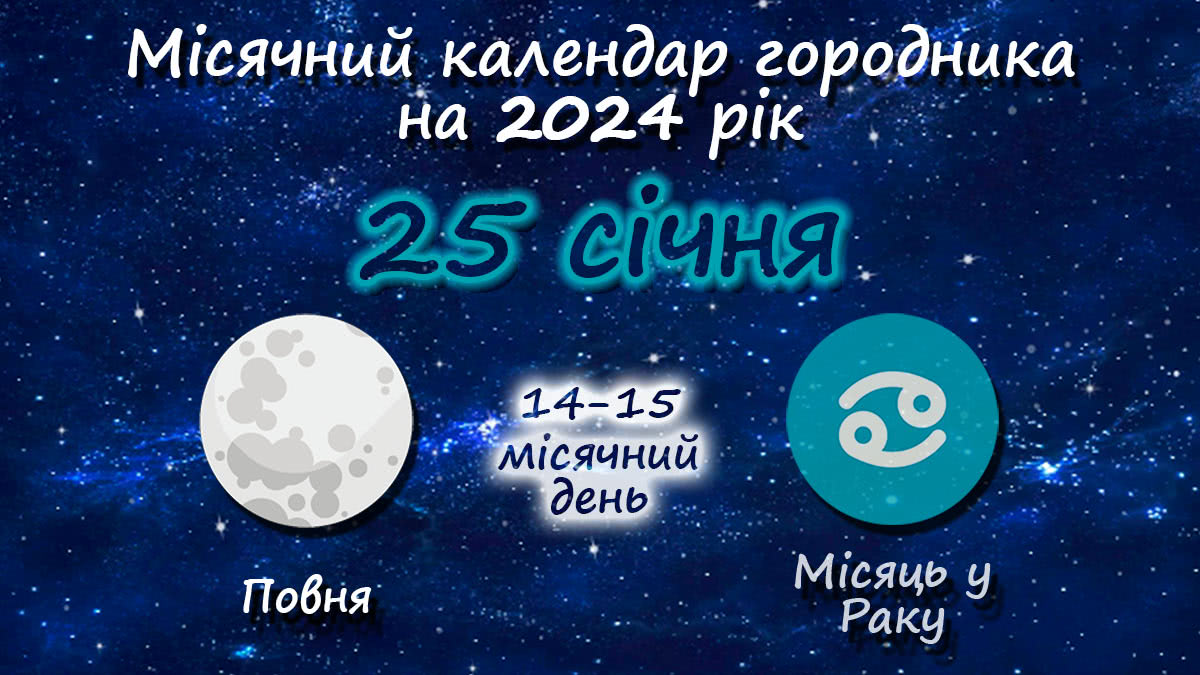 Місячний календар садівника-городника на 25 січня 2024 року