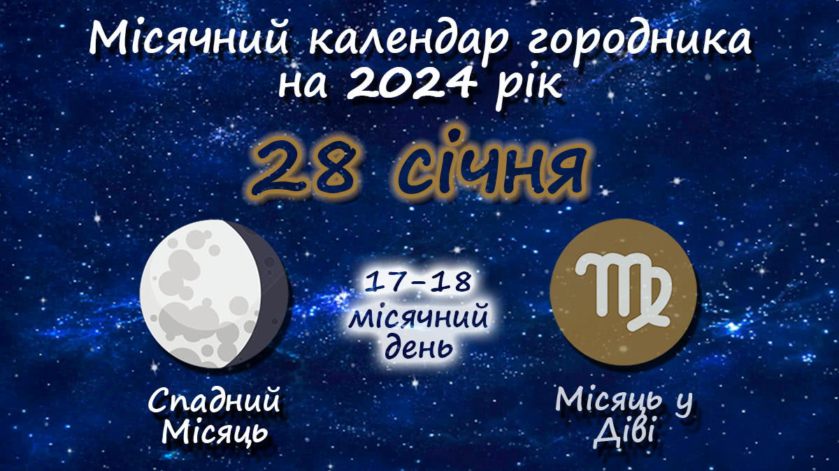 Місячний календар садівника-городника на 28 січня 2024 року