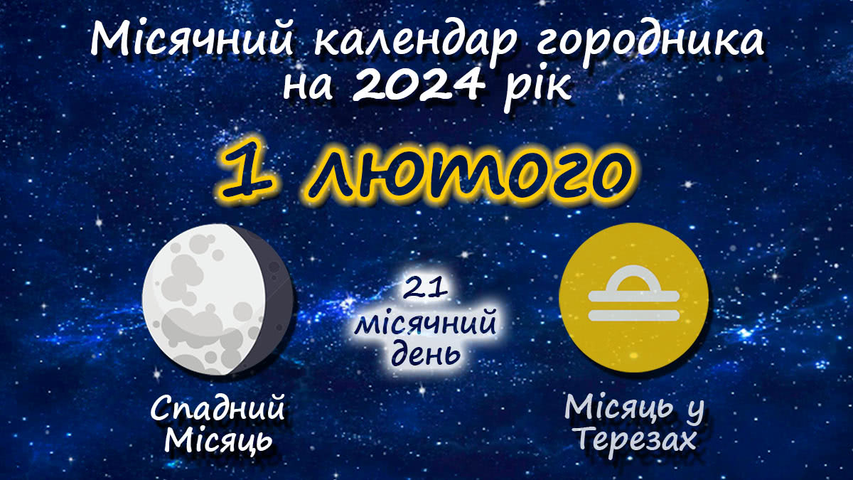 Місячний календар садівника-городника на 1 лютого 2024 року
