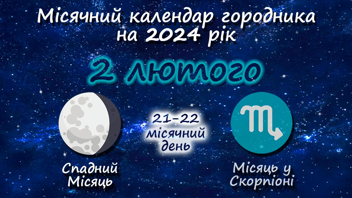 Місячний календар садівника-городника на 2 лютого 2024 року