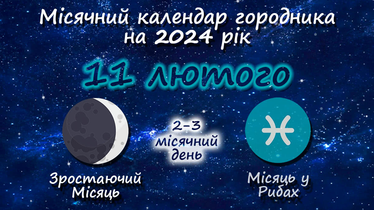 Місячний календар садівника-городника на 11 лютого 2024 року