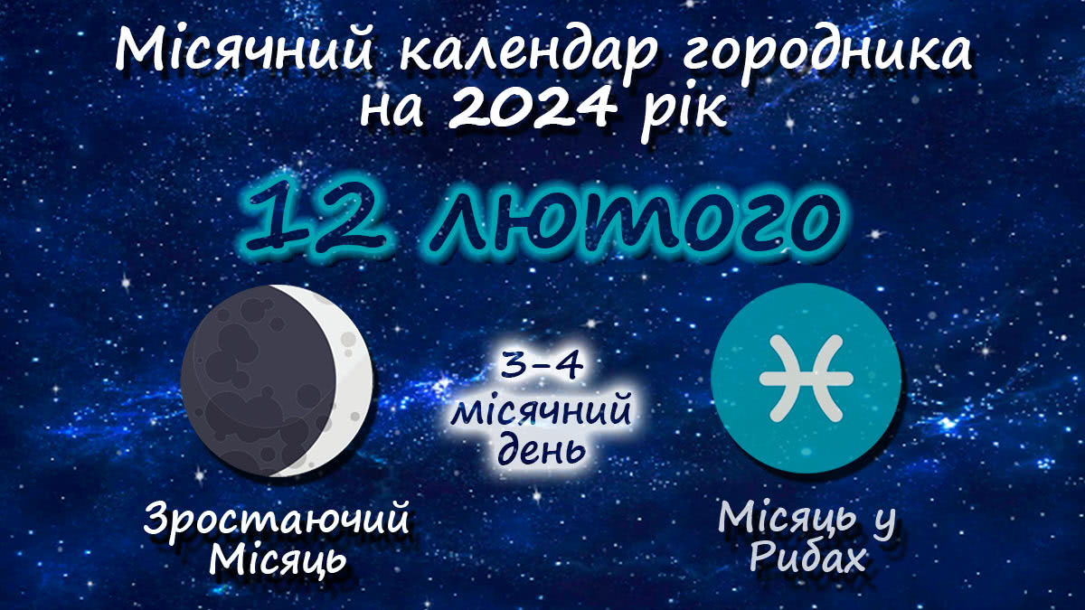 Місячний календар садівника-городника на 12 лютого 2024 року