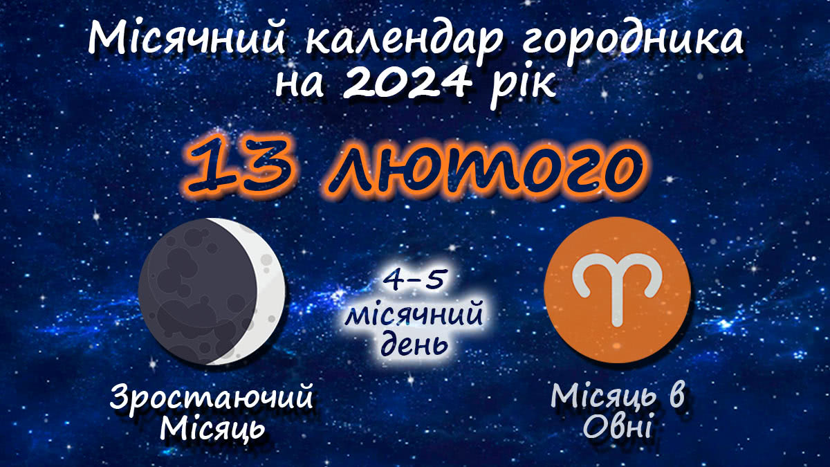 Місячний календар садівника-городника на 13 лютого 2024 року