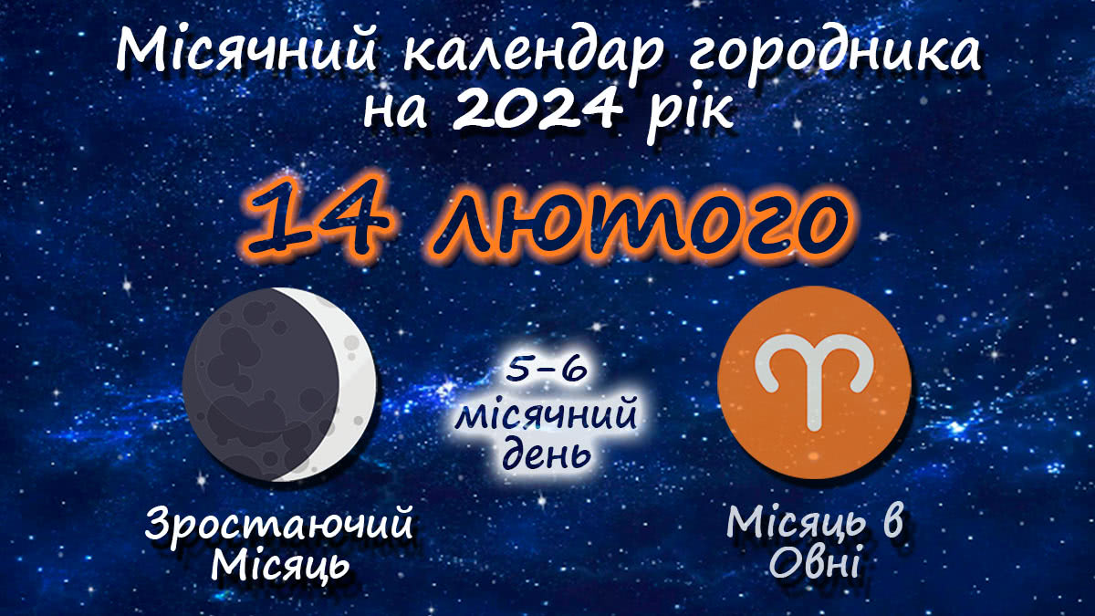 Місячний календар садівника-городника на 14 лютого 2024 року