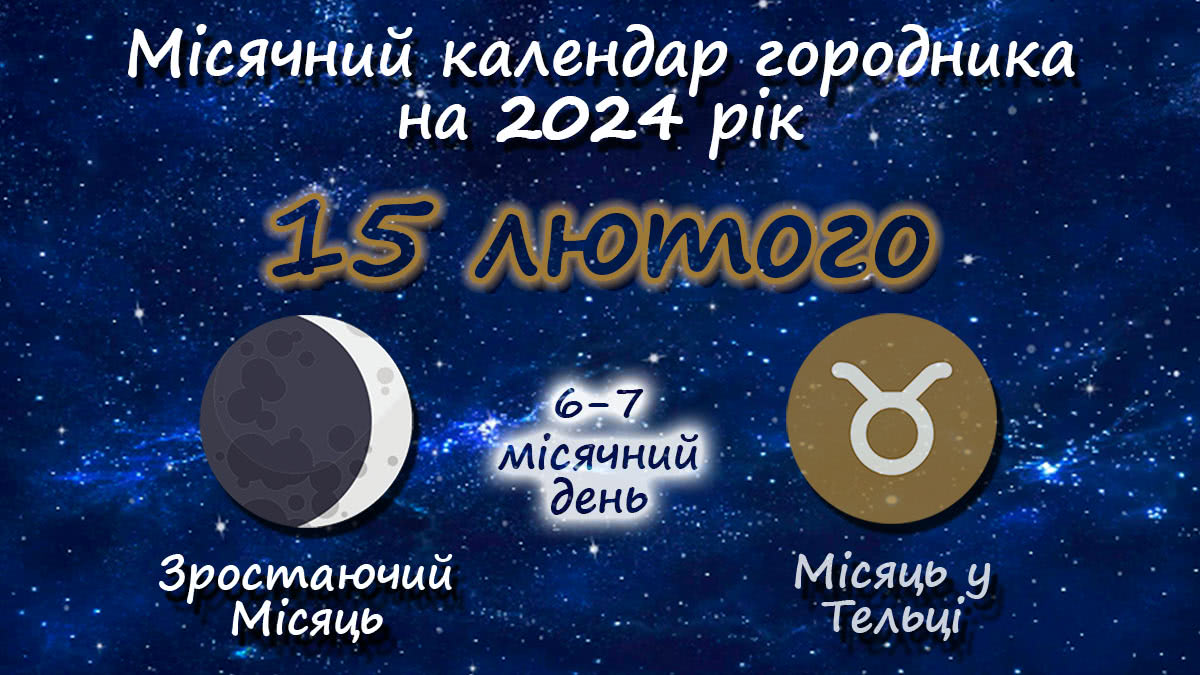 Місячний календар садівника-городника на 15 лютого 2024 року