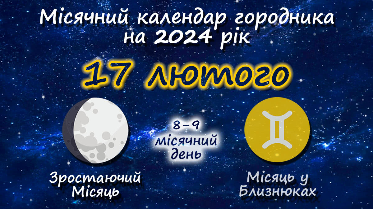 Місячний календар садівника-городника на 17 лютого 2024 року