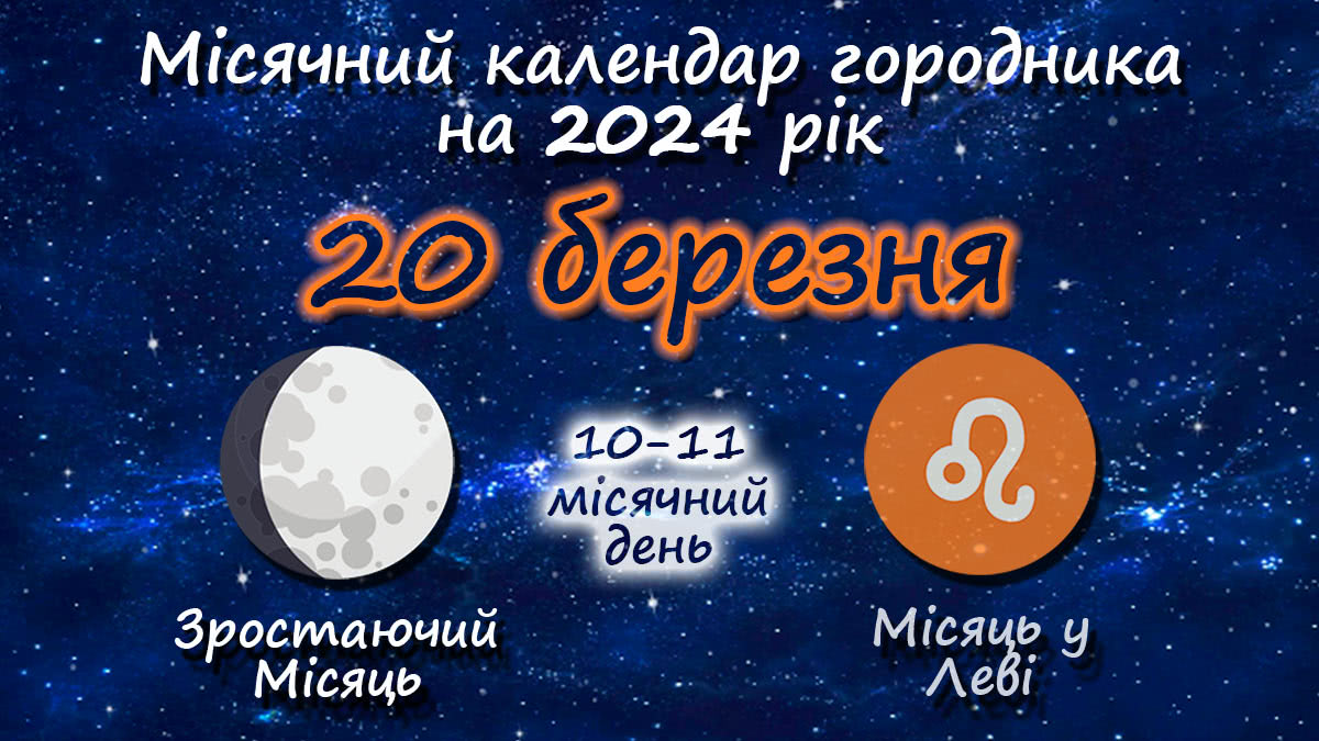 Місячний календар садівника-городника на 20 березня 2024 року