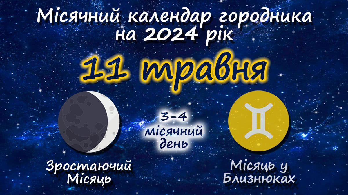 Місячний календар садівника-городника на 11 травня 2024 року