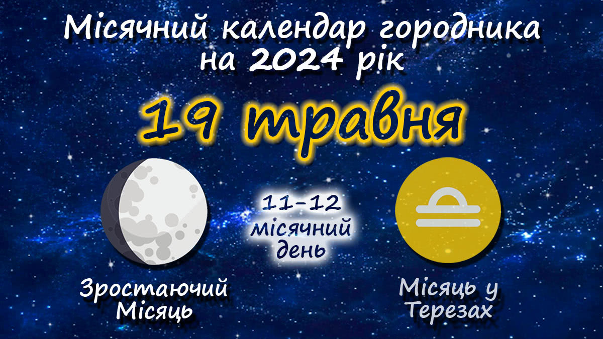 Місячний календар садівника-городника на 19 травня 2024 року