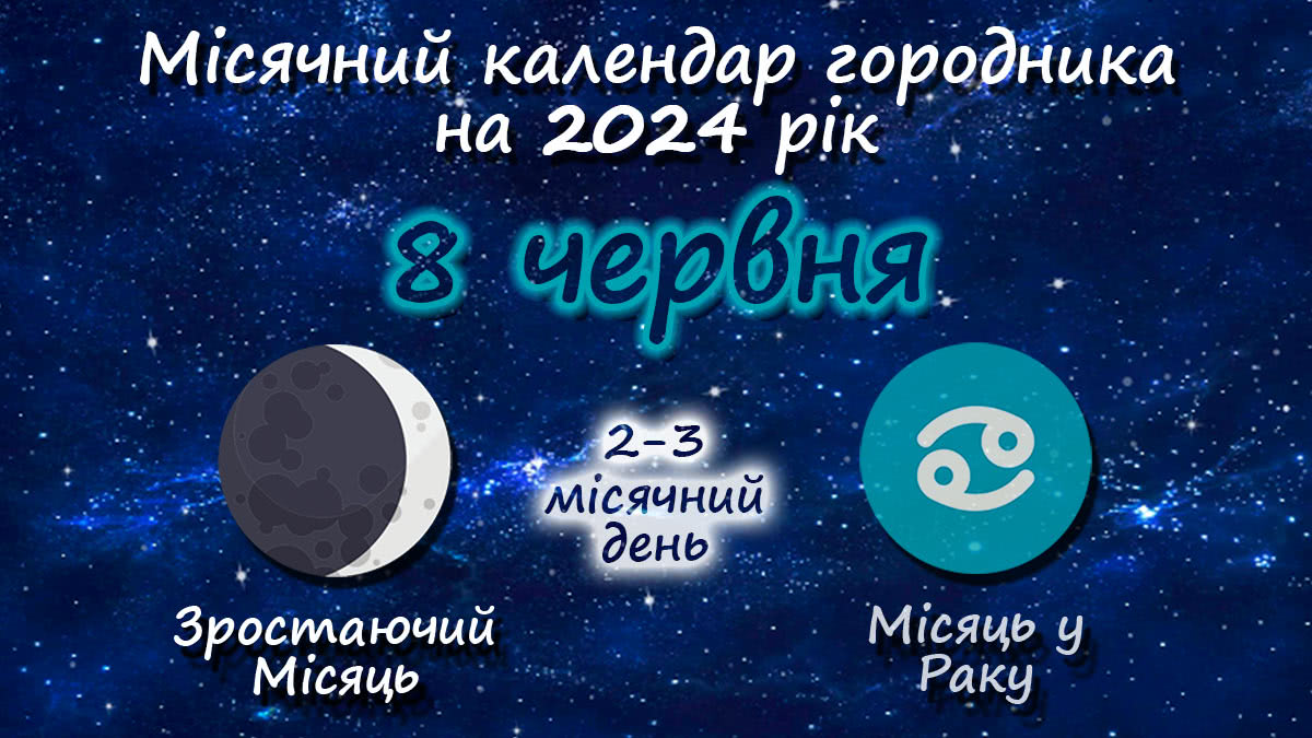 Місячний календар садівника-городника на 8 червня 2024 року