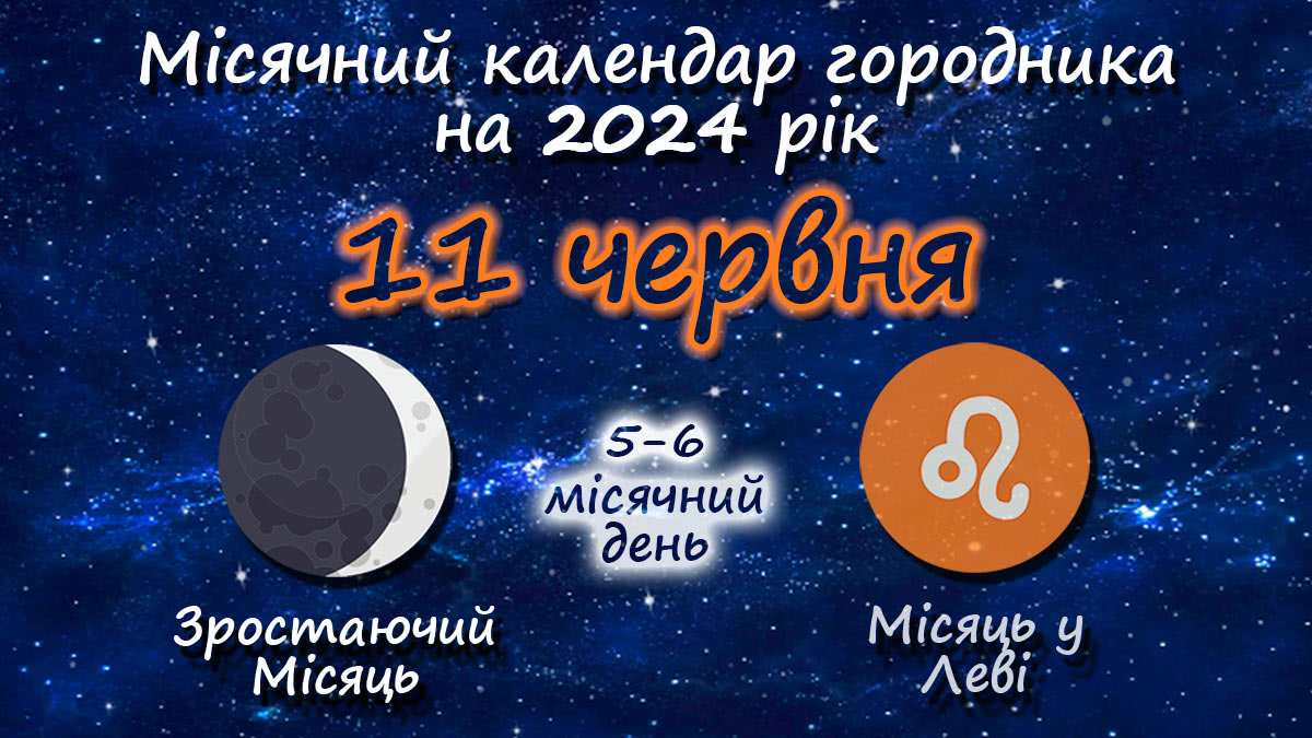 Місячний календар садівника-городника на 11 червня 2024 року