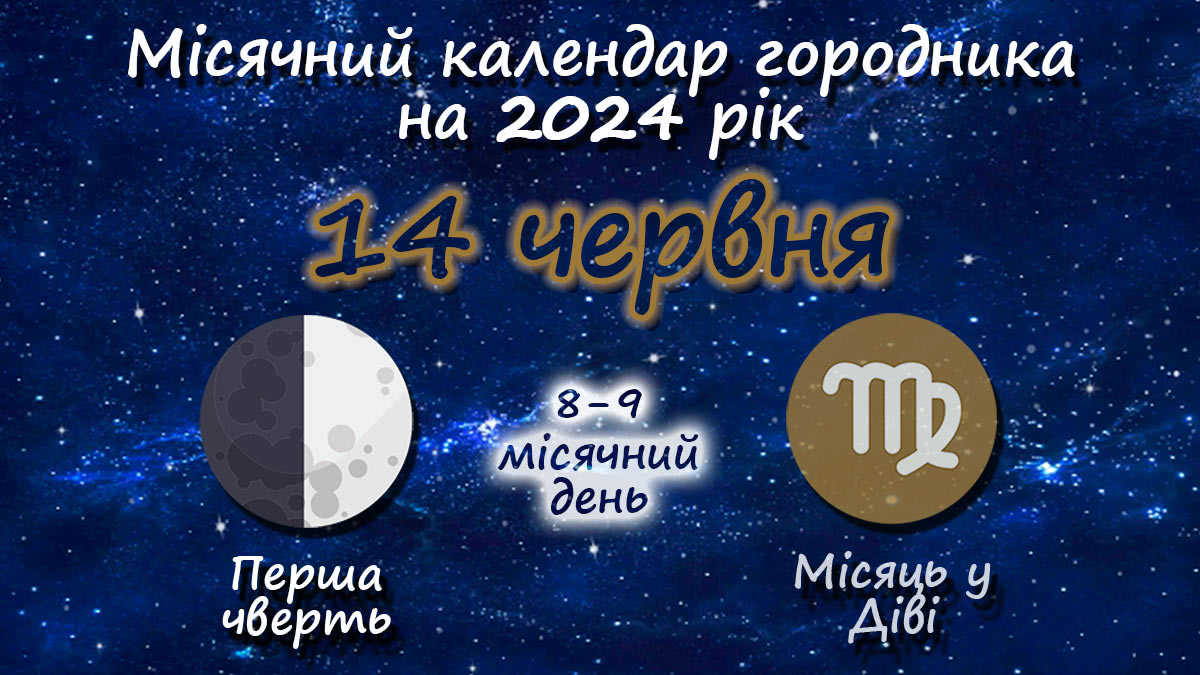 Місячний календар садівника-городника на 14 червня 2024 року